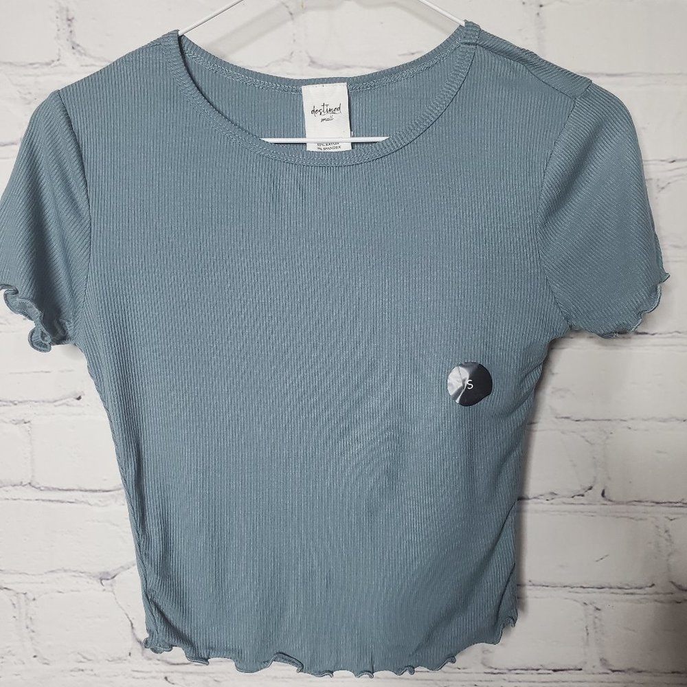 Destined Crop Top